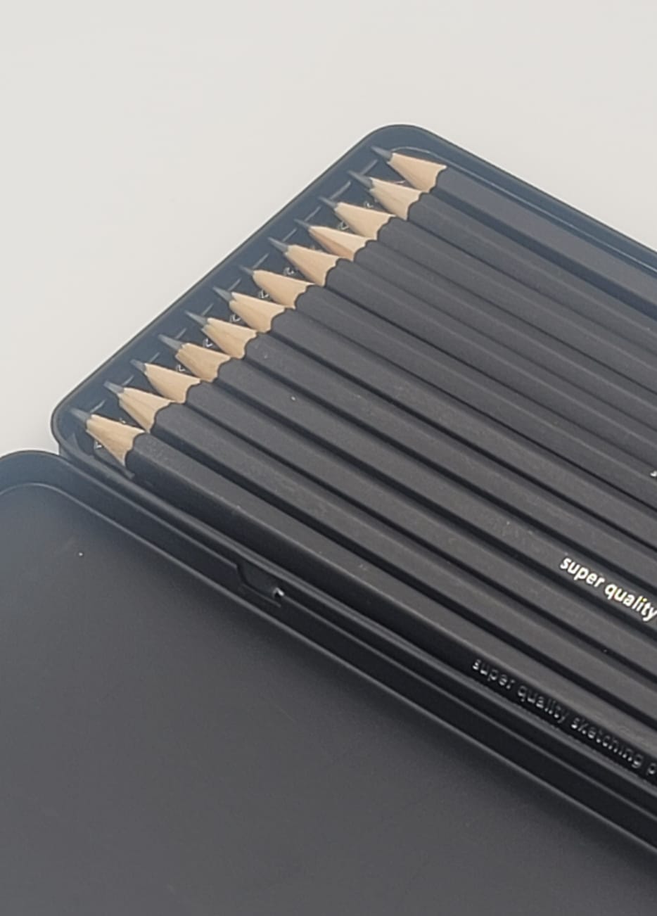 Professional Sketch and Drawing pencils set，Art Pencil 12-Count(8B-2H) Drawing/Sketching Pencil Set of 12 in Metal Box